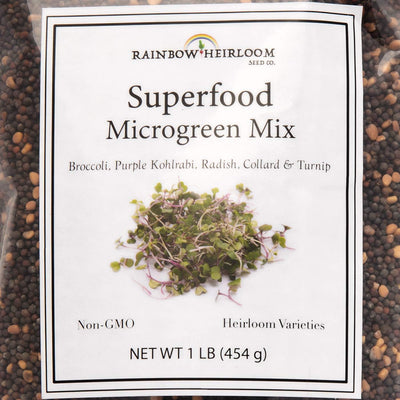 Semillas microgreens colinabo morado rábano nabo brócoli 1libra