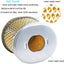 2 Filtros Aire Comp Honda GX390 GX340 13-11 HP