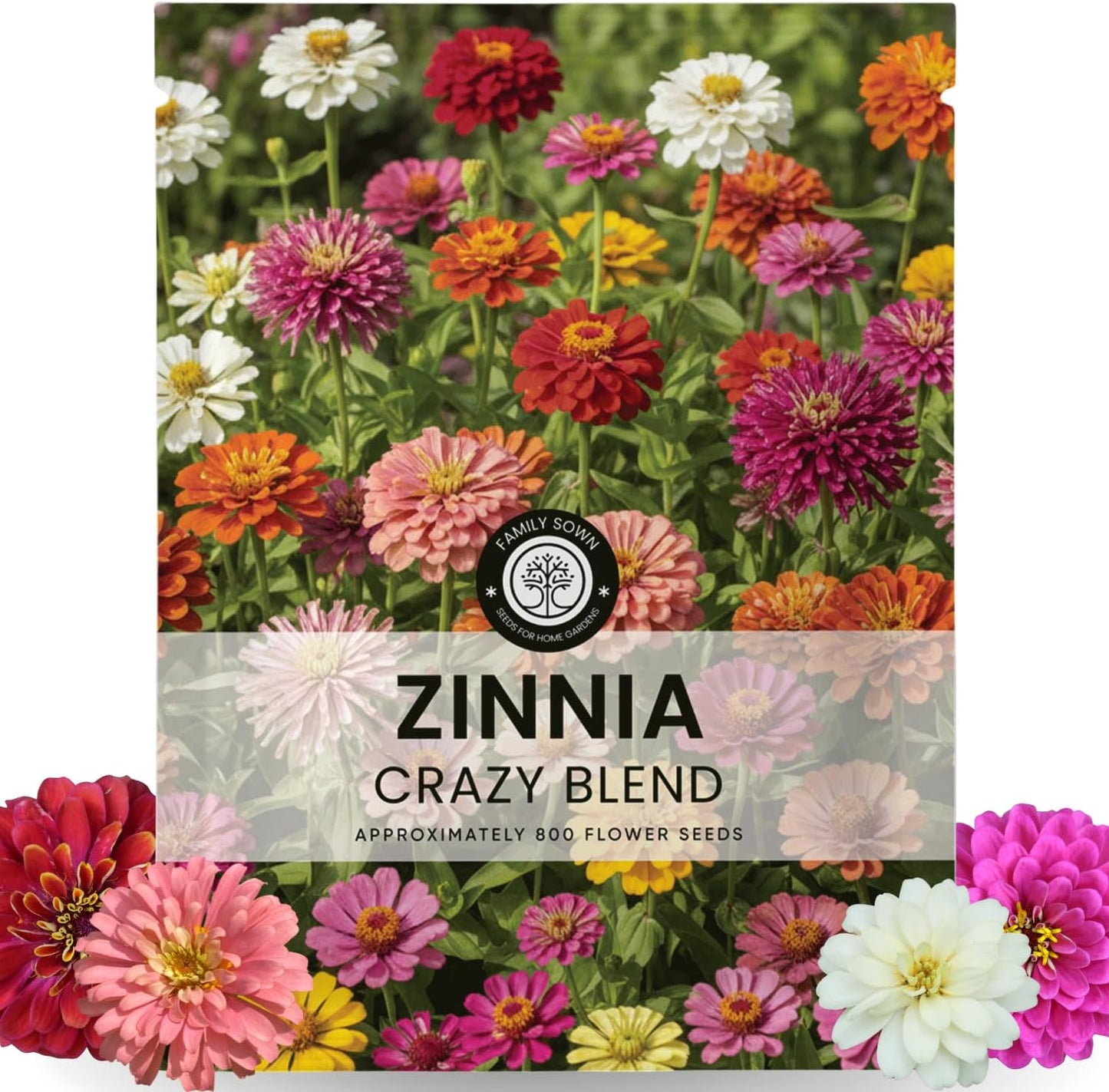 Bolsa 800 semillas Zinnia Crazy Blend 0.18oz