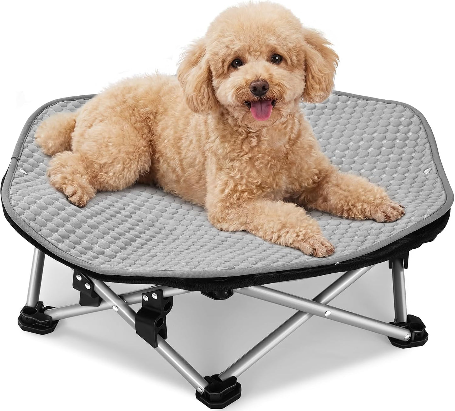 Cama plegable perros pequeños al aire libre con marco resistente