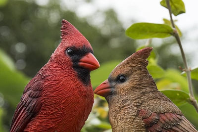 Estatua cardenales en tocón jardín multicolor