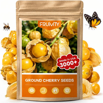 Semillas Physalis pruinosa 1000+ para huerto al aire libre