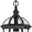 Farol pared Boxwood Lighting brazo abajo vidrio biselado