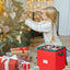 Caja almacenamiento adornos navideños 3x3" comp ajustable