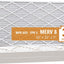 Filtro plisado Air Guard 20x25pulg MERV 8 pack 3