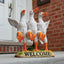 Cartel bienvenida patos bailarines