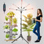 Luz de cultivo 45W 5 cabezales soporte bonsái y plantas