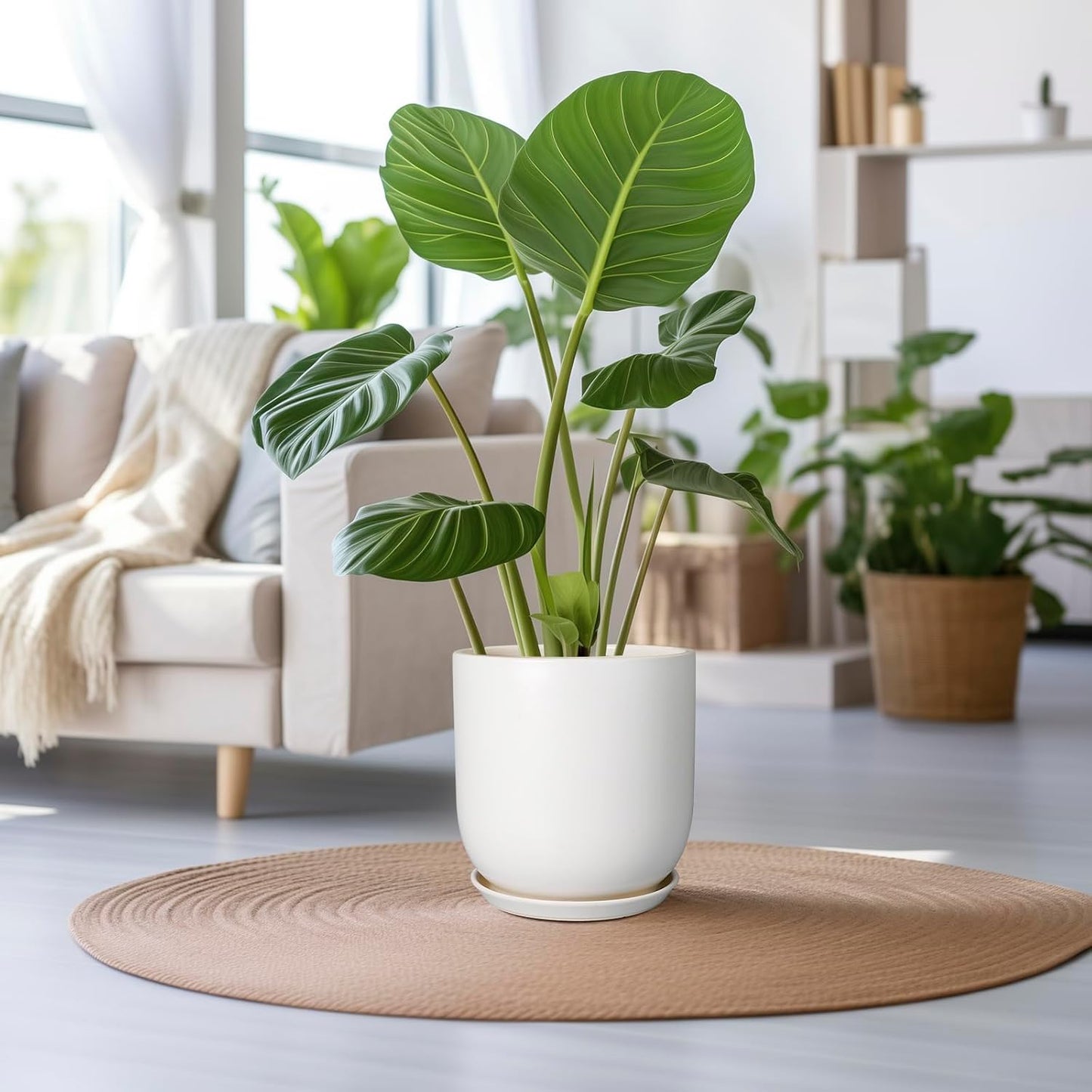 Maceta cerámica 12pulg para plantas interior exterior blanca