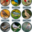 Alimento pájaros semillas cártamo 4lb comederos