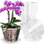 Maceta plástico transparente orquídea 7" set 8 con platillo