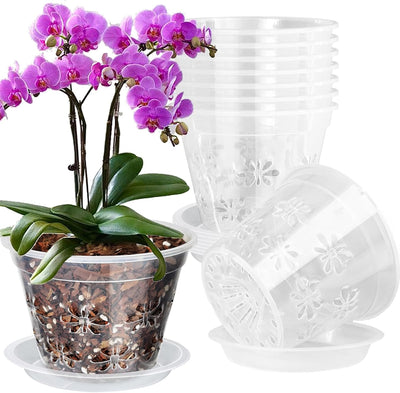 Maceta plástico transparente orquídea 7" set 8 con platillo