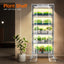 Invernadero interior con luz cultivo 150W 6 niveles paquete 5