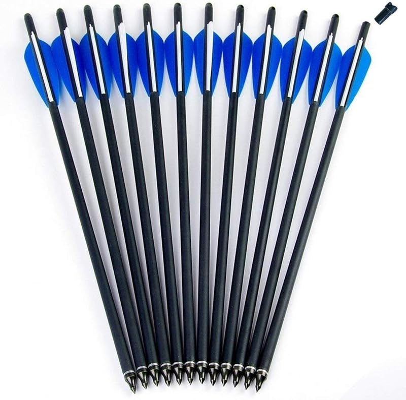 Flechas carbono 20pulg con punta 4pulg reemplazable