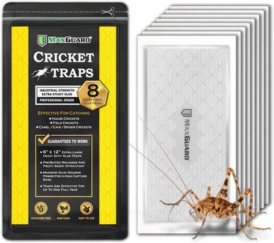 Trampas adhesivas extra grandes para grillos y bichos 8 pzas