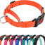 Collar martingale impermeable para perros med y grandes
