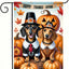 Bandera jardín perro salchicha 12x18pulg doble cara otoño calabaza