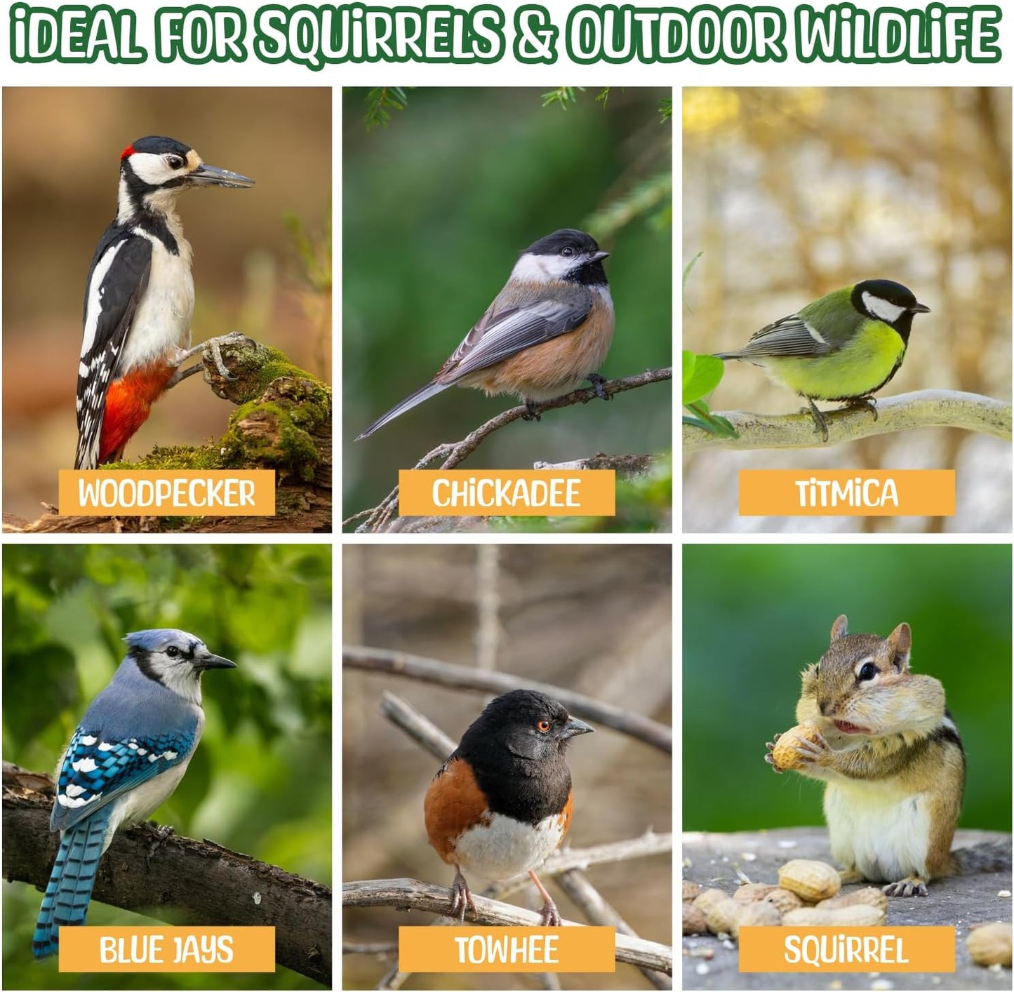 Cacahuetes crudos en cáscara 2lb para animales silvestres