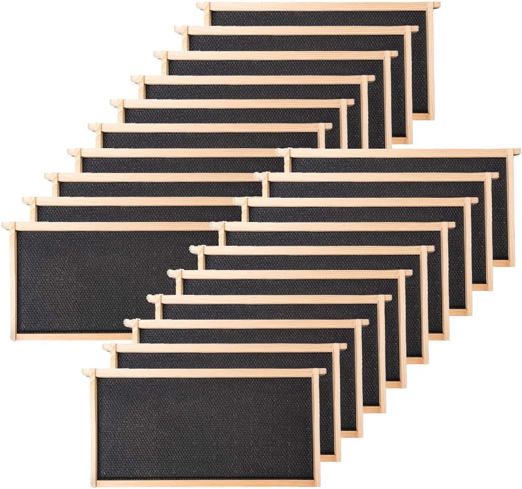 20 Marcos colmena bases cera 9-1/8pulg negro