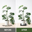 Platillo cuadrado para plantas 14pulg set 2 plástico resistente