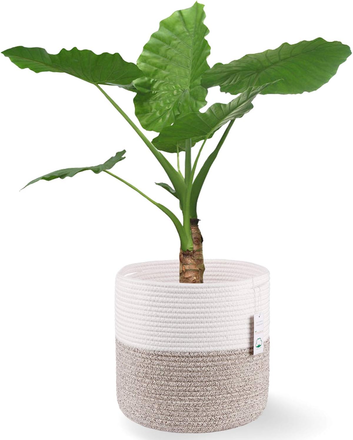 Cesta de algodón para maceta 11" decorativa