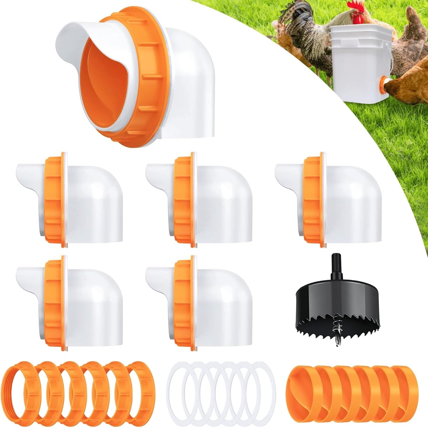 6 Comederos Pollo Con Tapas Tazas Automáticas Naranja