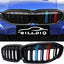 Parrilla delantera BMW Serie 3 G20