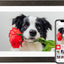 Marco fotos digital Frameo 10.1pulg WiFi 32GB tactil IPS