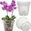 6 Pzas Maceta Orquídea Plástico Transparente 5.5pulg