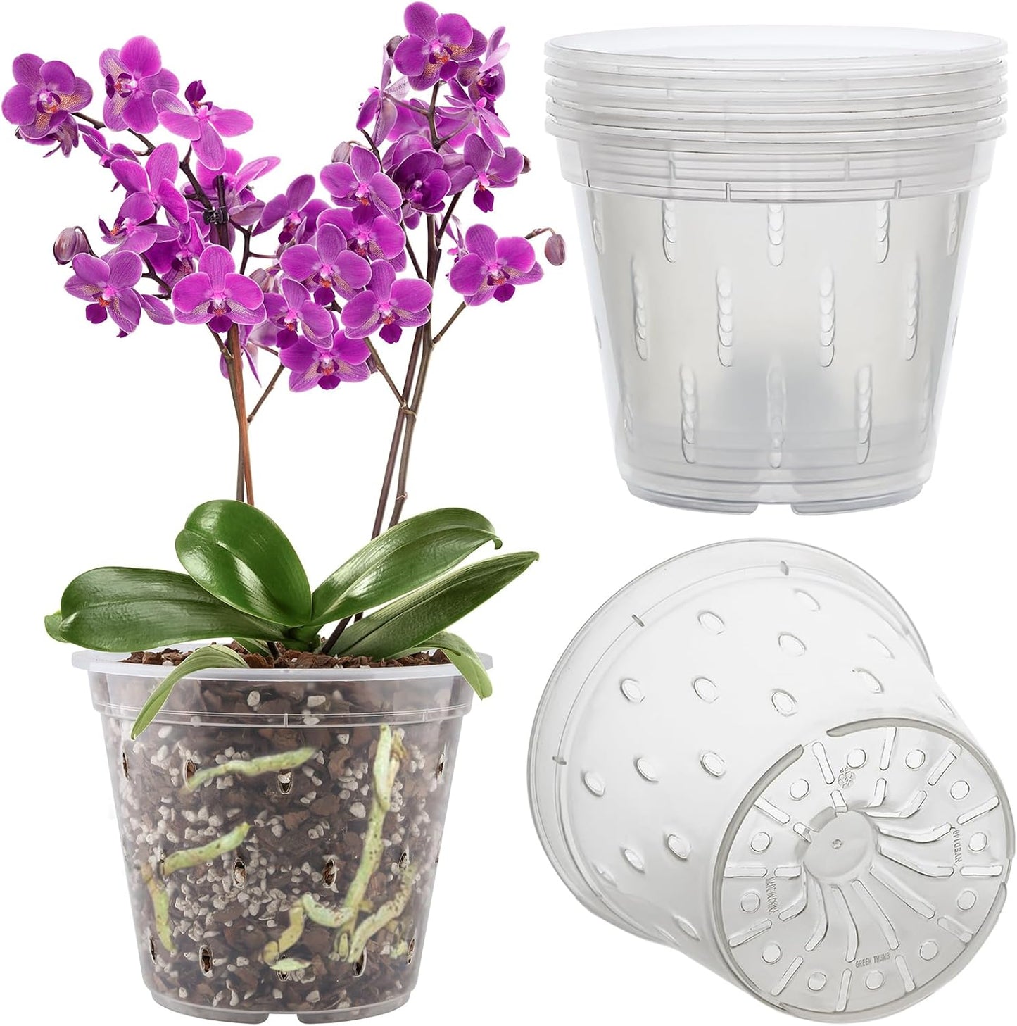 6 Pzas Maceta Orquídea Plástico Transparente 5.5pulg