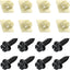 Tornillos matrícula acero inox óxido negro con nailon set 8
