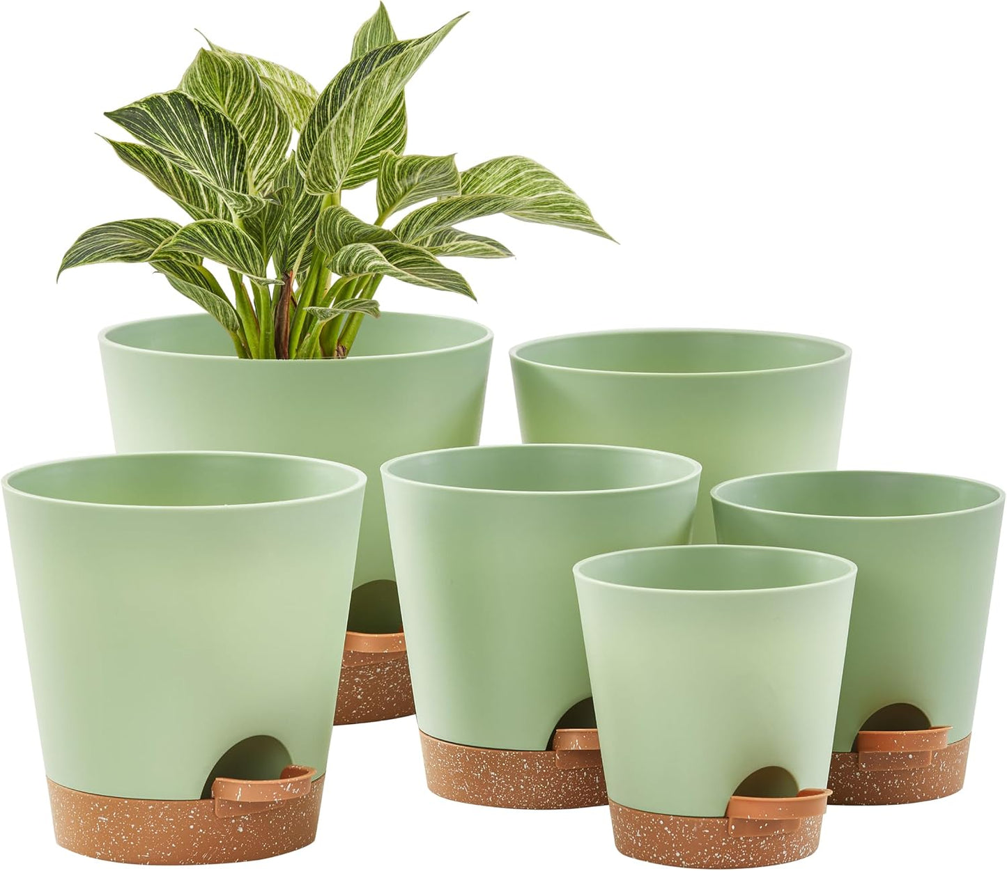 Set 6 Macetas Auto Riego 5-8" Interior y Exterior