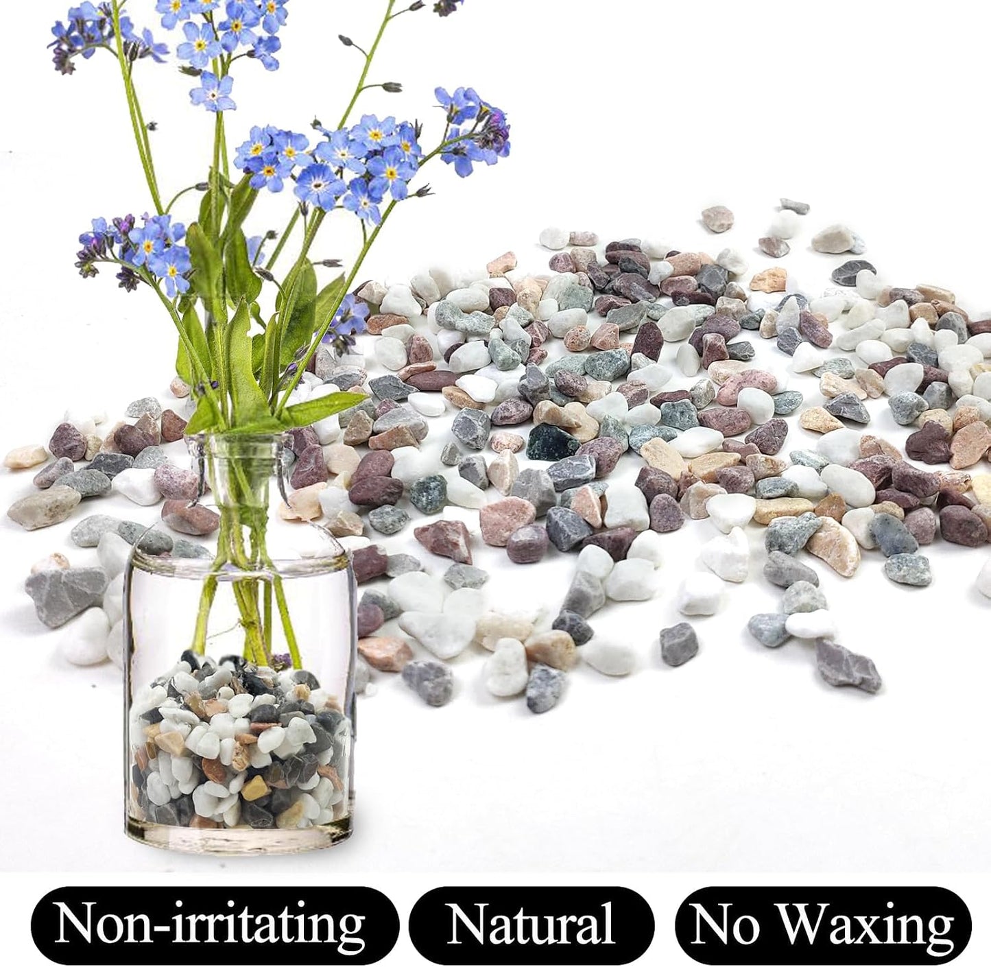 Piedras colores mixtos para cactus suculentas 2lb