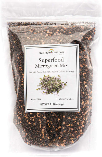 Semillas microgreens colinabo morado rábano nabo brócoli 1libra