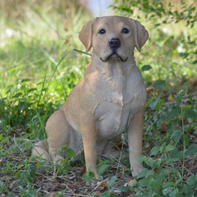 Estatua Labrador Retriever sentado color amarillo