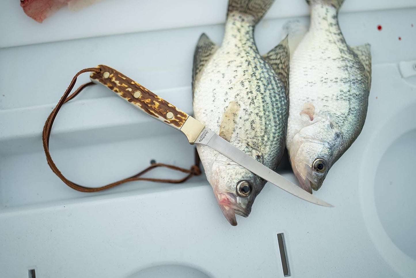Navaja filletar pescado Next Gen Walleye fija 168UHCP