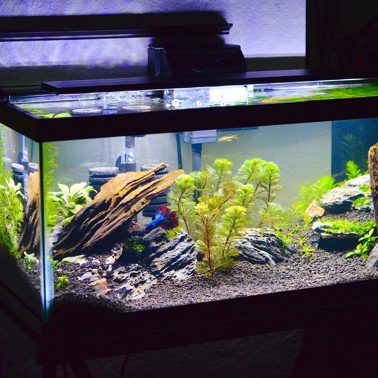 Tapete antideslizante espuma negra para acuario 15.74x11.81pulg
