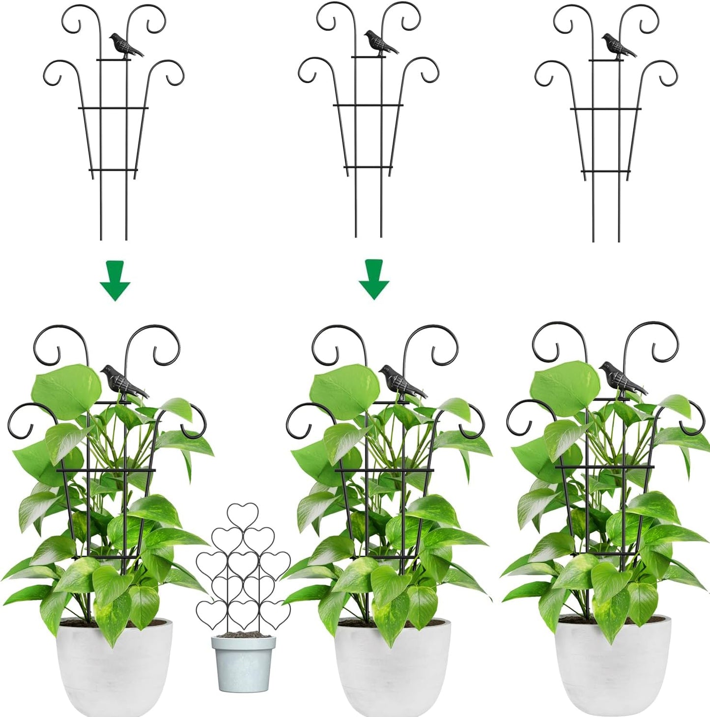 Enrejado apilable para plantas trepadoras y hiedra