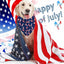 Bandana ajustable perro 4 de julio bandera estadounidense