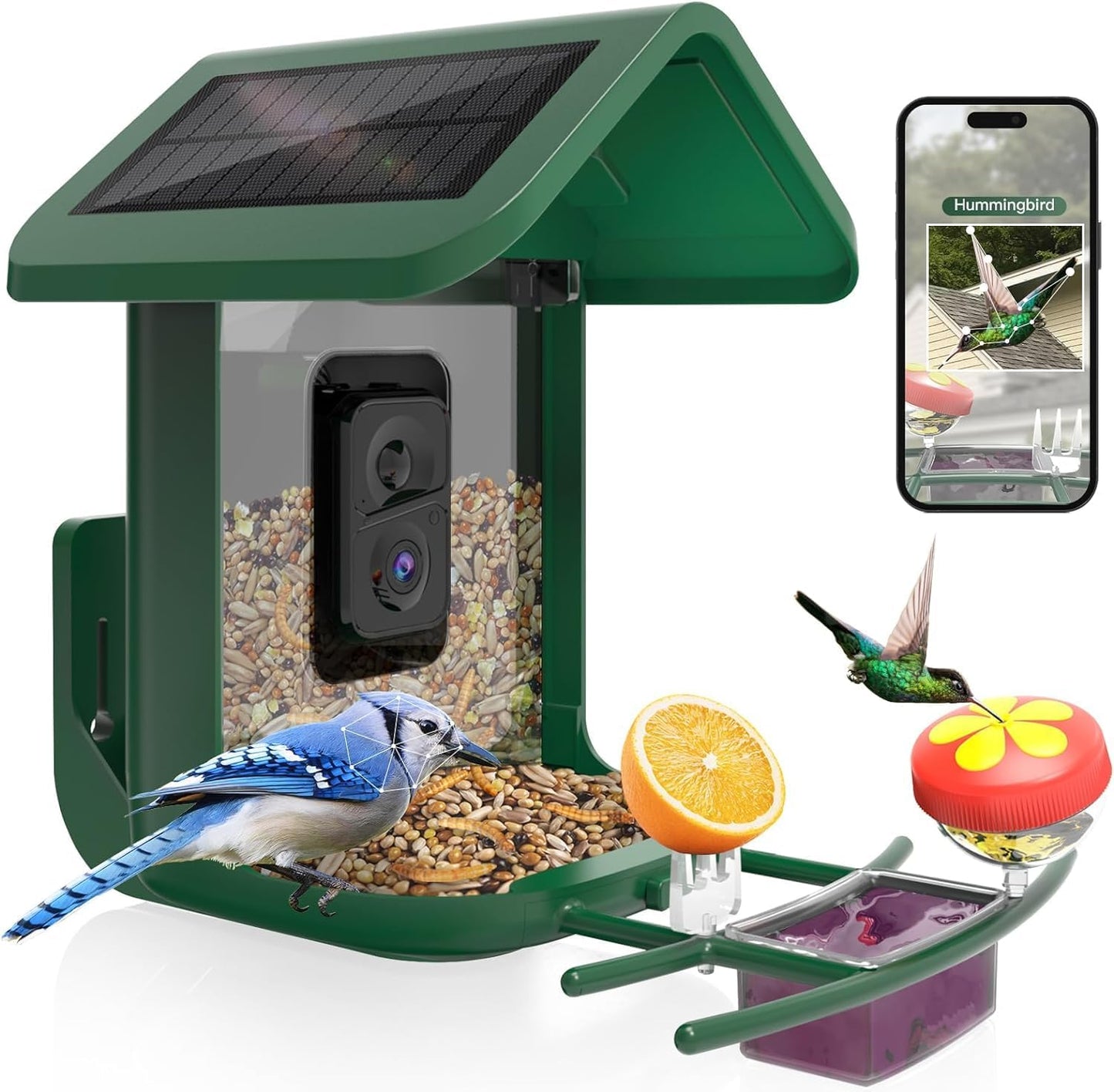 Comedero pájaros con cámara 2K solar WiFi AI