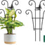 Enrejado metal para plantas trepadoras hiedra Hoya Pothos 2