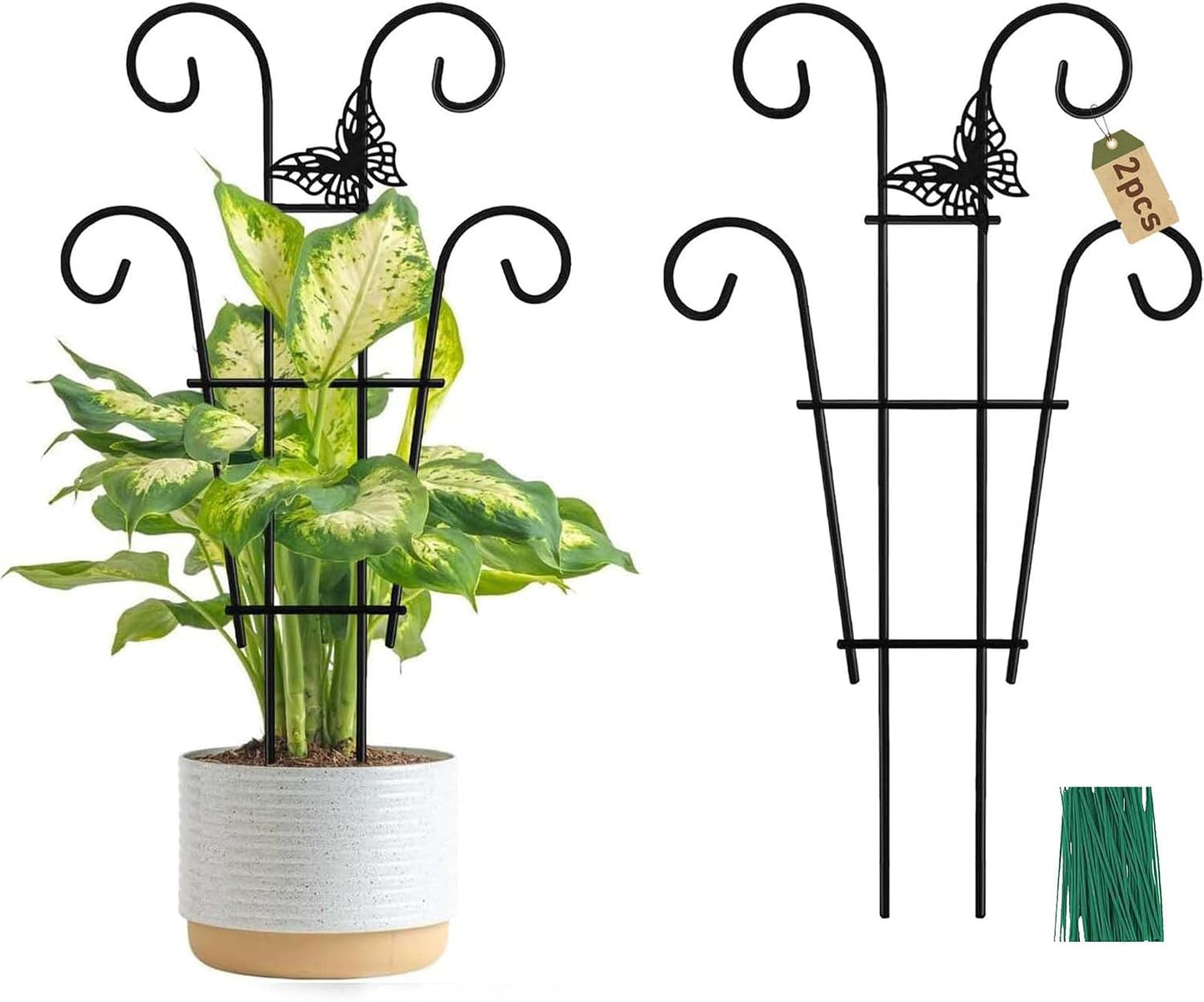 Enrejado metal para plantas trepadoras hiedra Hoya Pothos 2