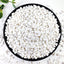 Piedras grava blancas 5lb para suculentas cactus decorativas