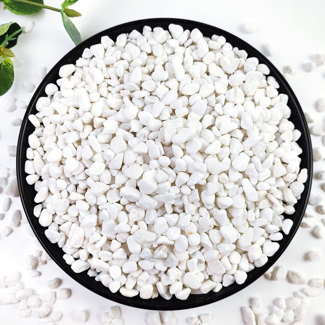 Piedras grava blancas 5lb para suculentas cactus decorativas