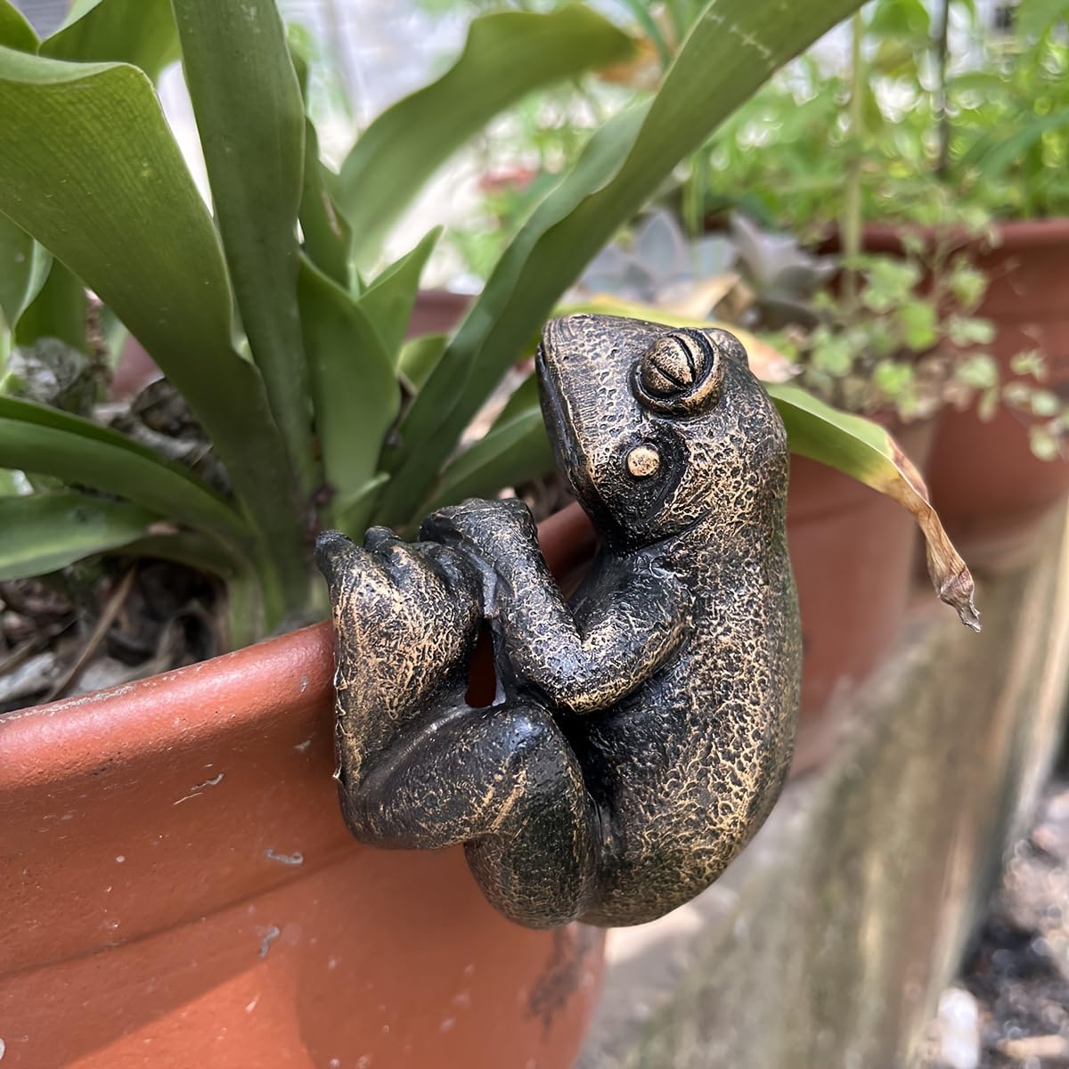 Figuras rana para maceta jardín patio balcón decoración