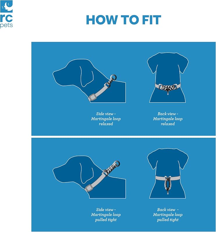 Collar entrenamiento Frida mediano