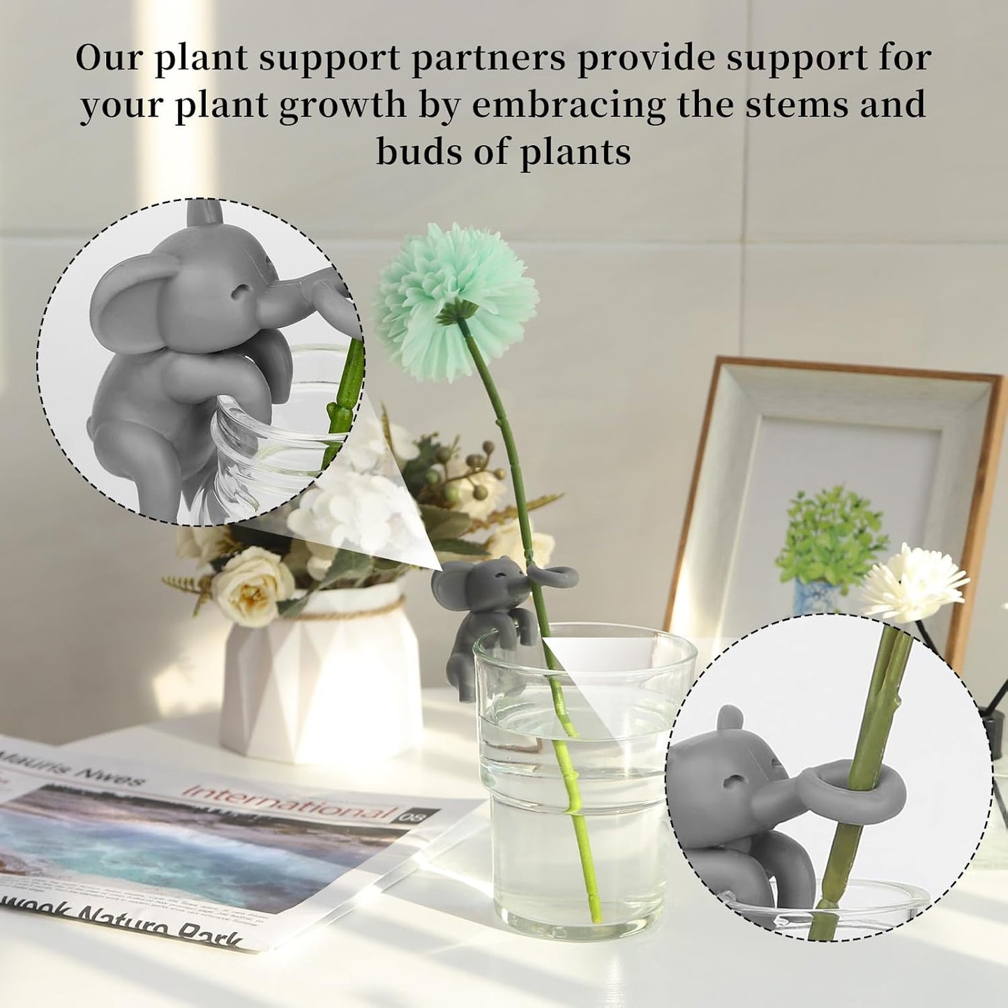 Soporte propagación plantas 3 unidades