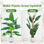 Soporte plantas Monstera 49" poste musgo fibra coco