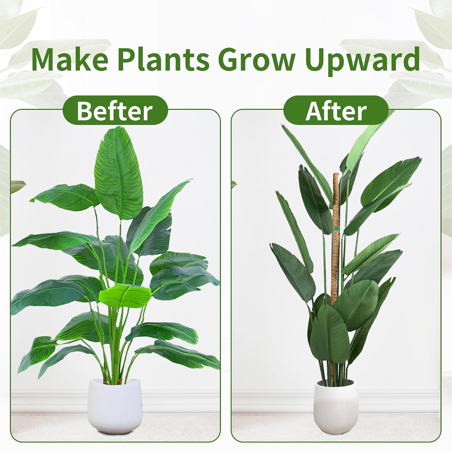 Soporte plantas Monstera 49" poste musgo fibra coco