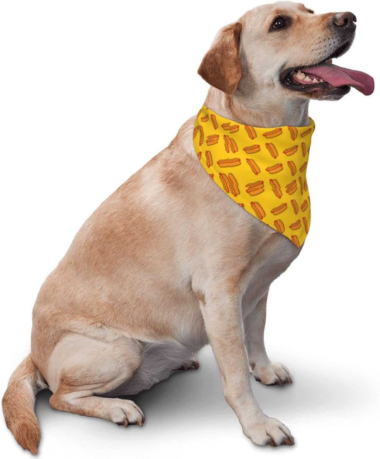 Bufanda reversible triangular para mascotas hot dog
