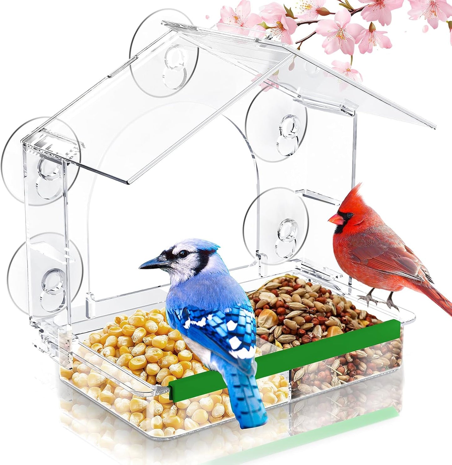 Comedero aves transparente con ventosas 5 y bandeja desmontable